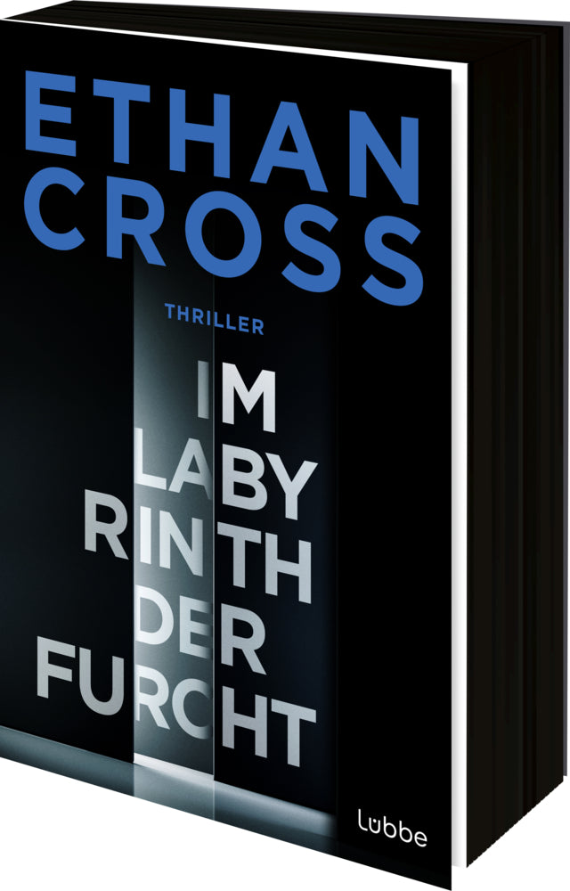 Im Labyrinth der Furcht (Ethan Cross)