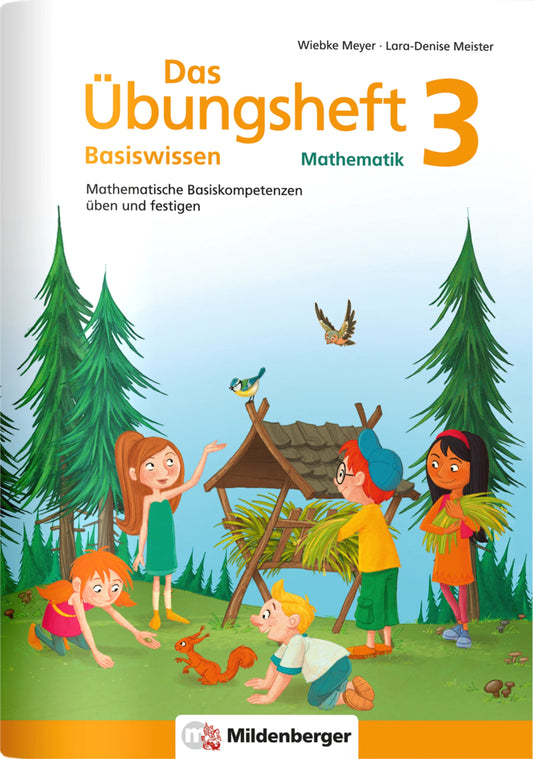 Das Übungsheft Basiswissen Mathematik.Bd.3 (Wiebke Meyer)