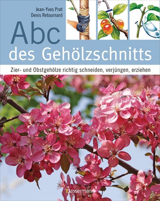 Abc des Gehölzschnitts (Jean-Yves Prat)