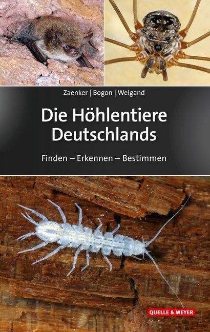 Die Höhlentiere Deutschlands (Stefan Zaenker)