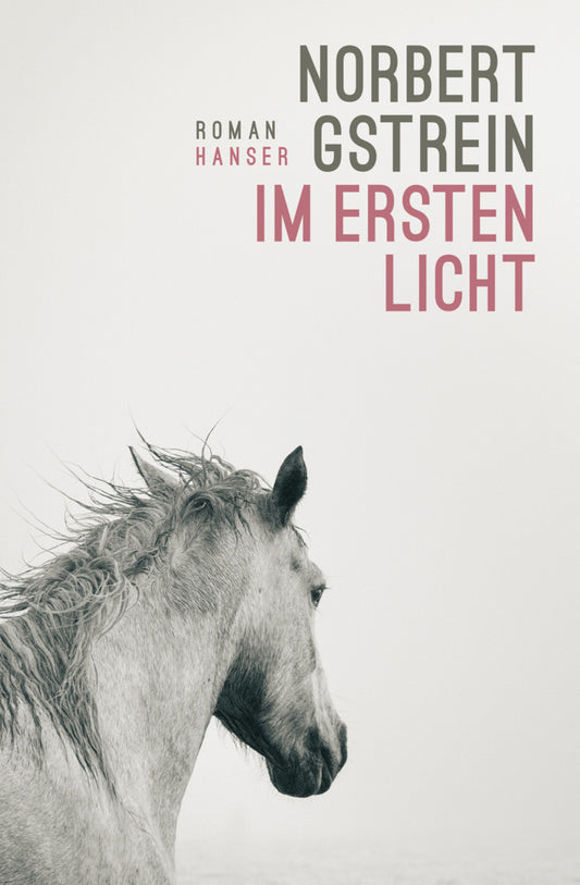 Im ersten Licht (Norbert Gstrein)