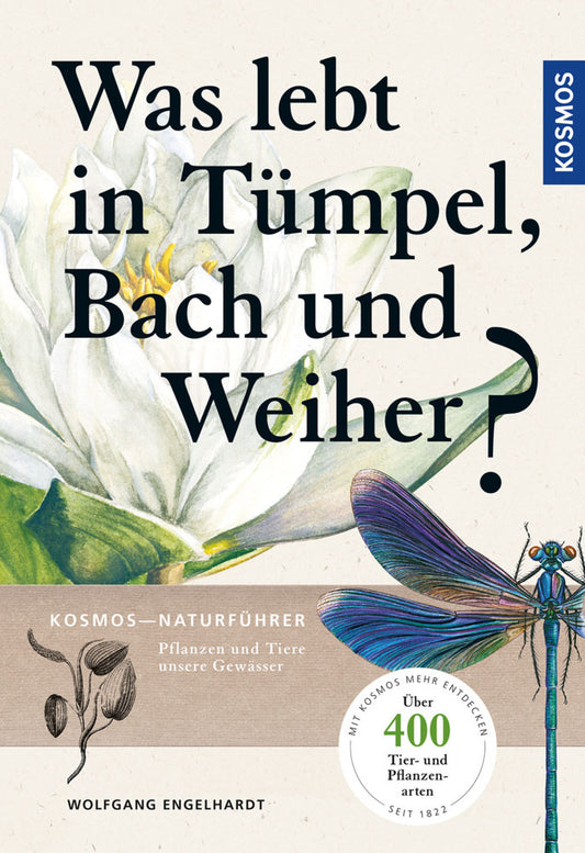 Was lebt in Tümpel, Bach und Weiher? (Wolfgang Engelhardt)