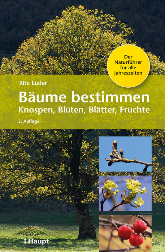 Bäume bestimmen - Knospen, Blüten, Blätter, Früchte (Rita Lüder)