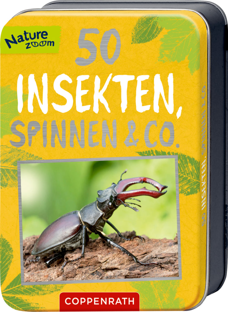 50 Insekten, Spinnen & Co. (Holger Haag)