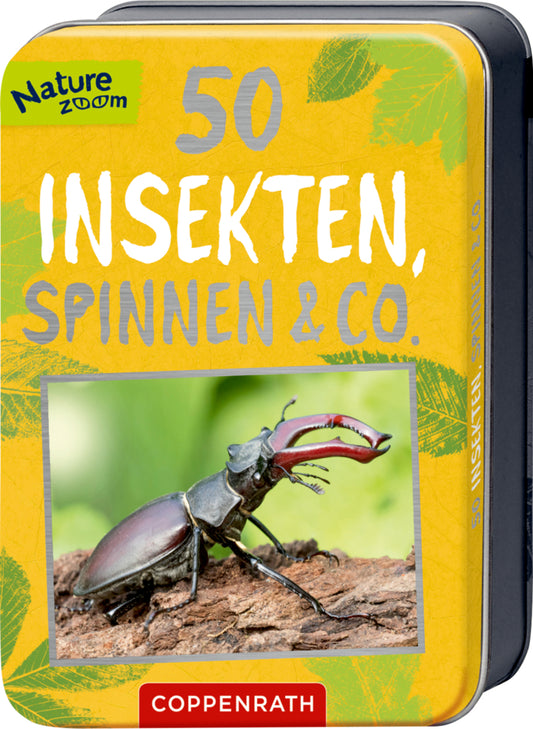 50 Insekten, Spinnen & Co. (Holger Haag)