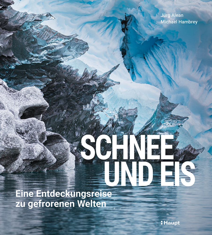 Schnee und Eis (Jürg Alean)