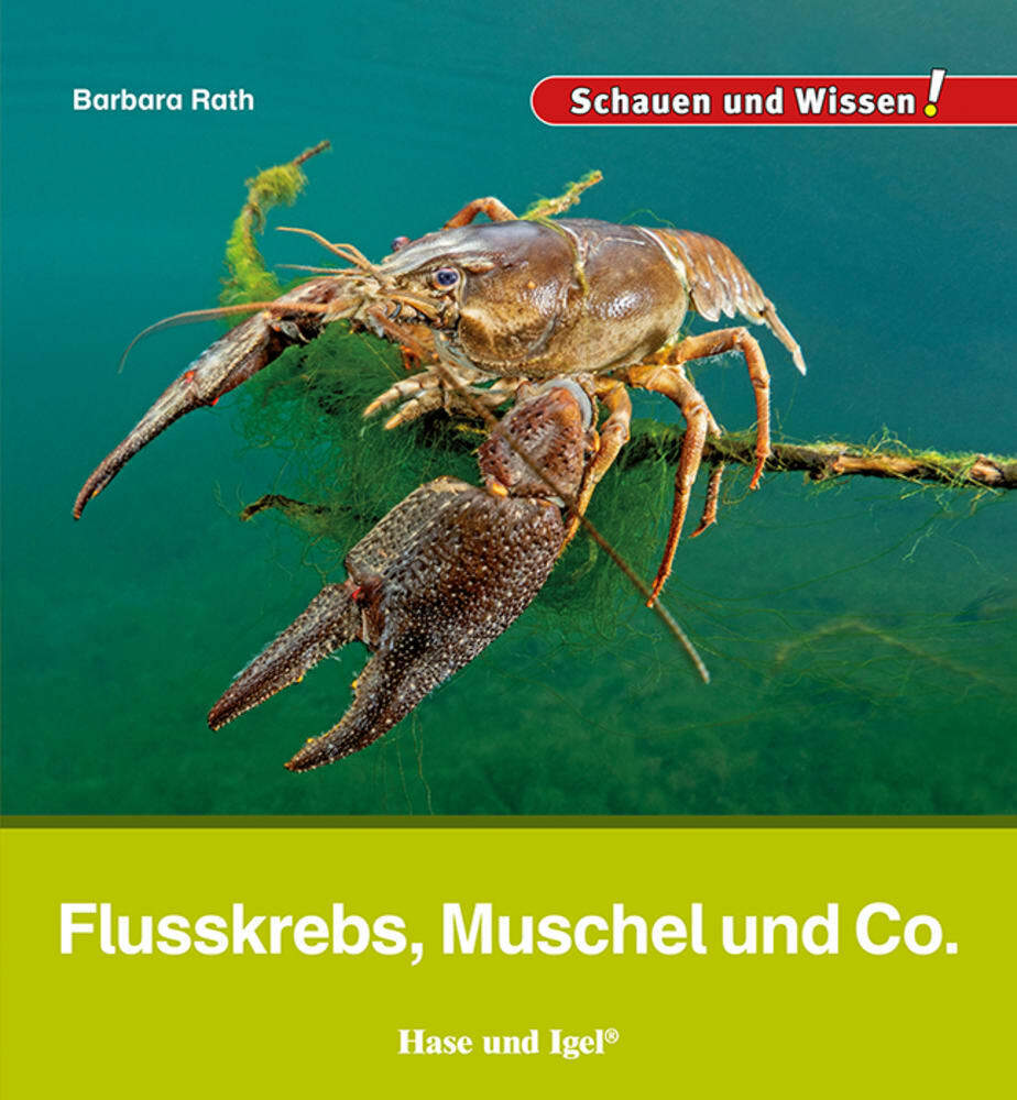 Flusskrebs, Muschel und Co. (Barbara Rath)