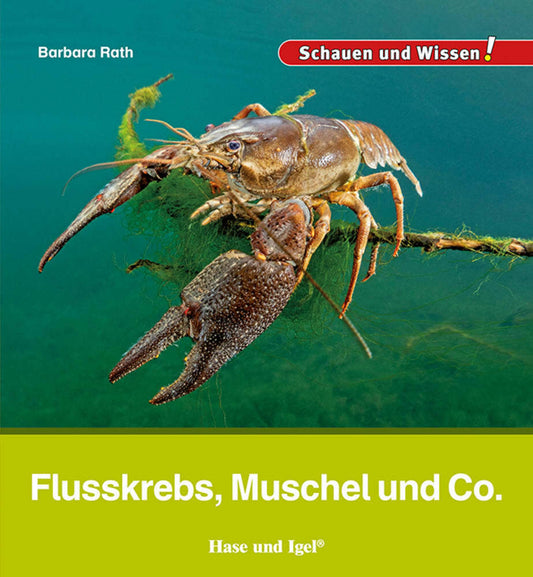 Flusskrebs, Muschel und Co. (Barbara Rath)