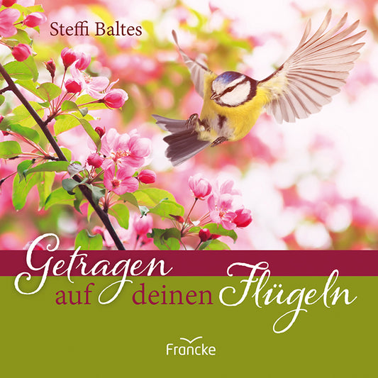 Getragen auf deinen Flügeln (Steffi Baltes)