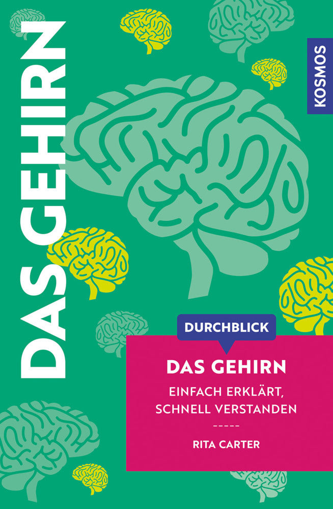 Durchblick Das Gehirn (Rita Carter)