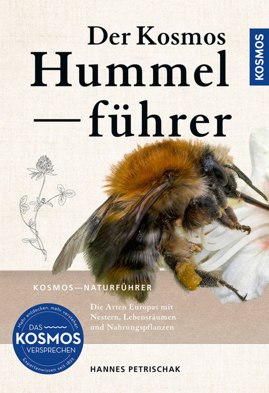 Der KOSMOS Hummelführer (Dr. Hannes Petrischak)