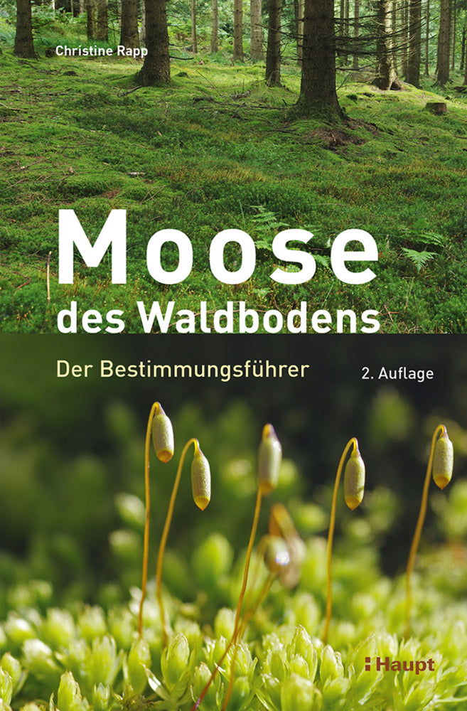 Moose des Waldbodens (Christine Rapp)