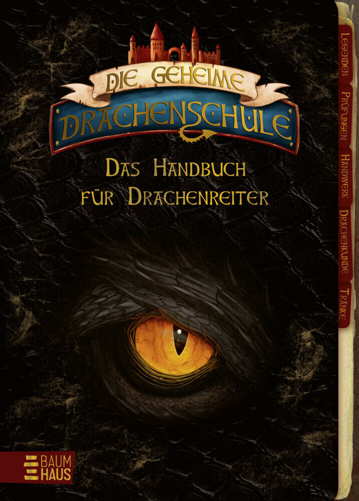 Die geheime Drachenschule - Das Handbuch für Drachenreiter (Emily Skye)