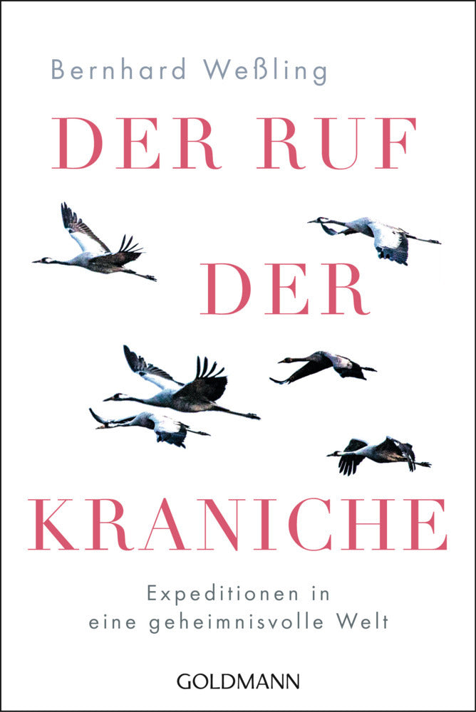 Der Ruf der Kraniche (Bernhard Weßling)