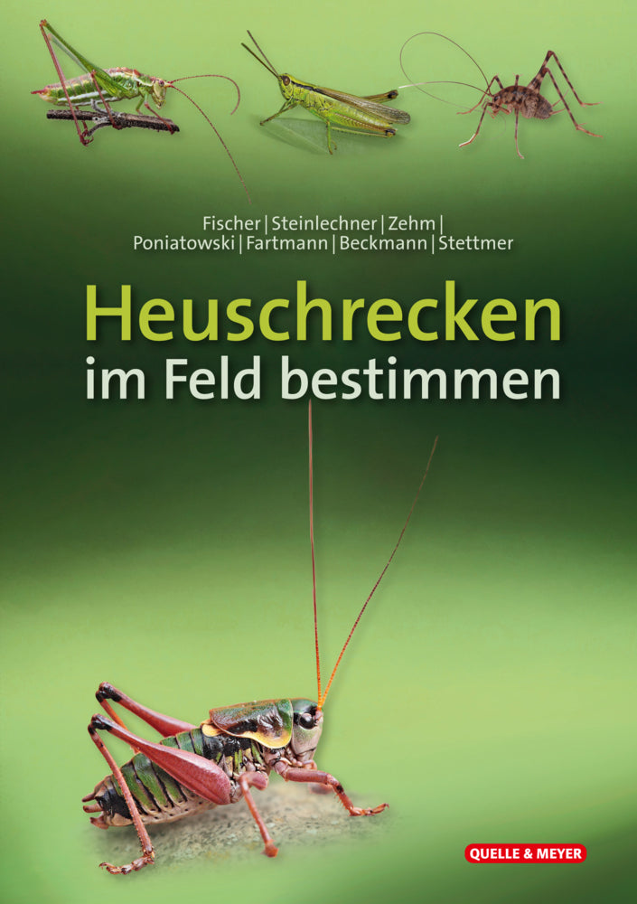 Heuschrecken im Feld bestimmen (Jürgen Fischer)