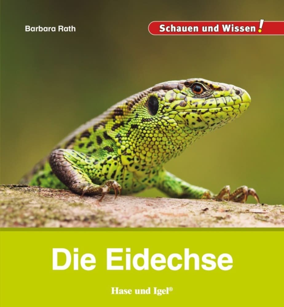 Die Eidechse (Barbara Rath)