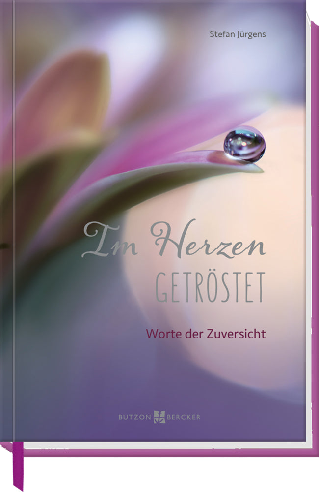 Im Herzen getröstet (Stefan Jürgens)