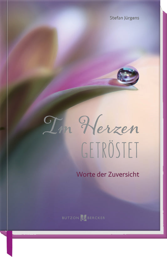 Im Herzen getröstet (Stefan Jürgens)