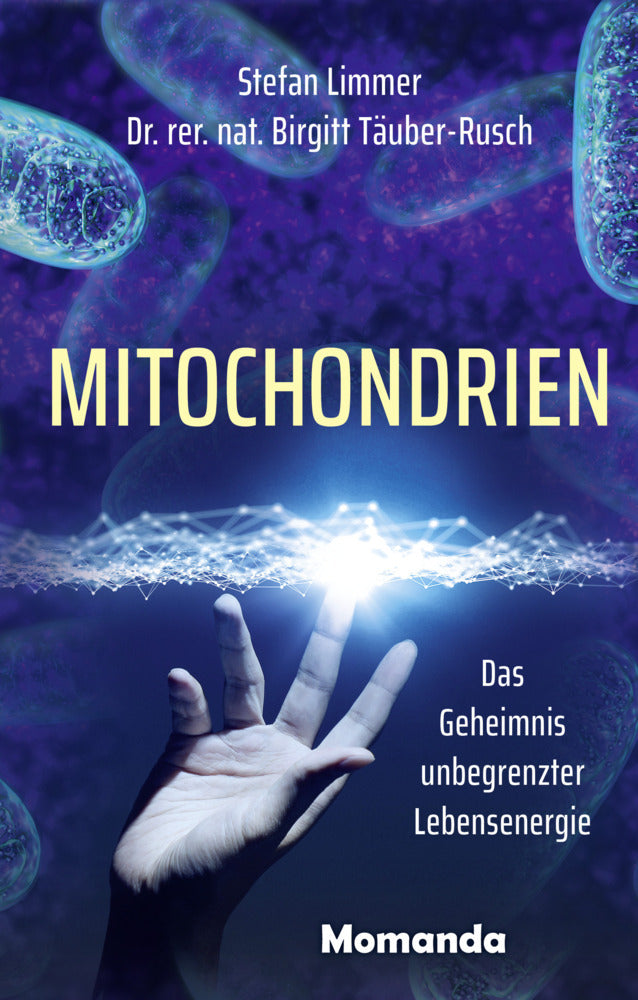 Mitochondrien (Stefan Limmer)