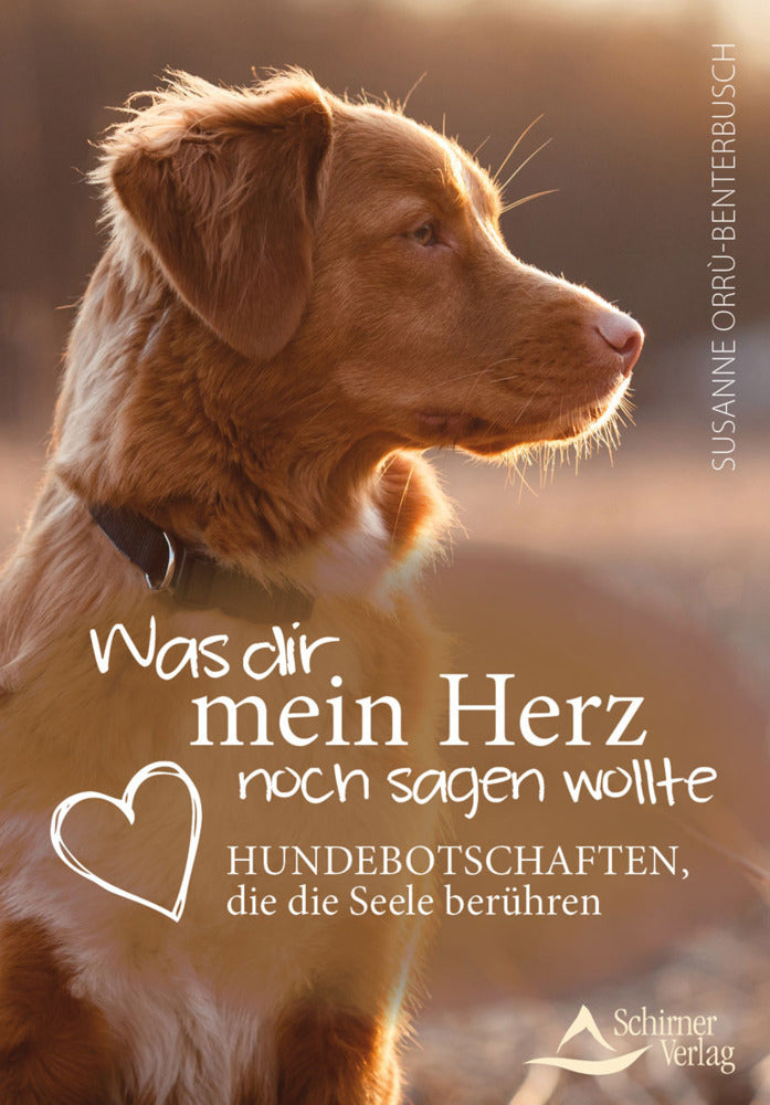 Was dir mein Herz noch sagen wollte (Susanne Orrù-Benterbusch)
