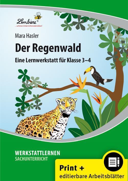 Der Regenwald (Mara Hasler)