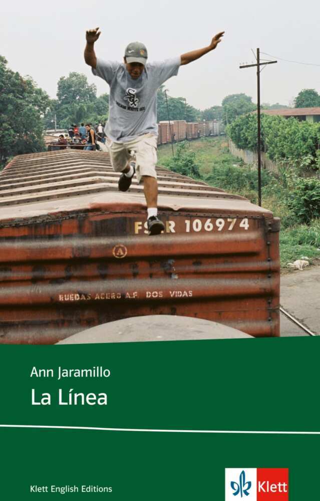 La Linea (English edition) (Ann Jaramillo)