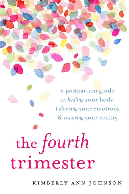 The Fourth Trimester (Kimbely Ann Johnson)