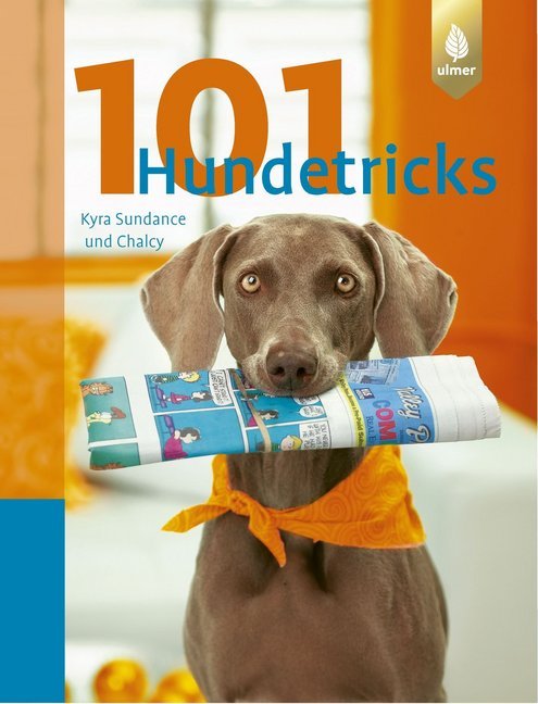 101 Hundetricks (Kyra Sundance)