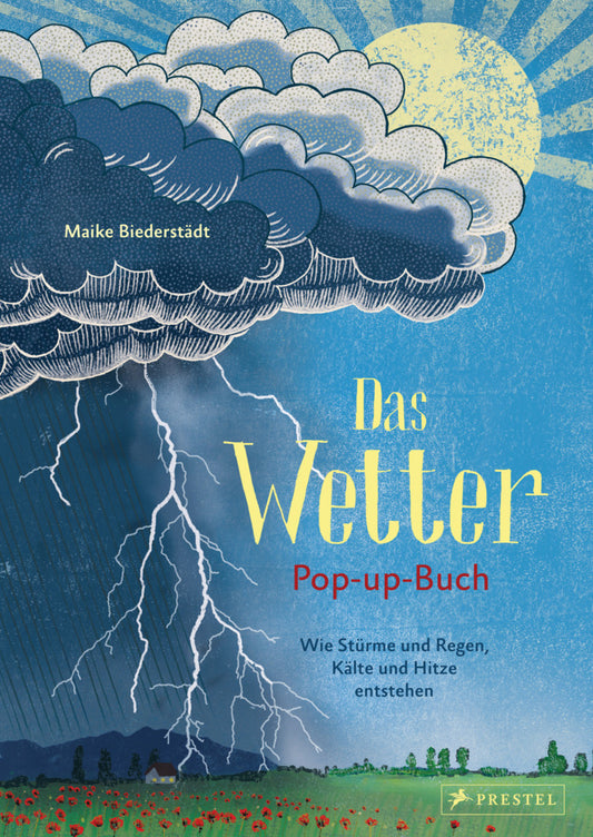 Das Wetter. Pop-up-Buch (Maike Biederstädt)