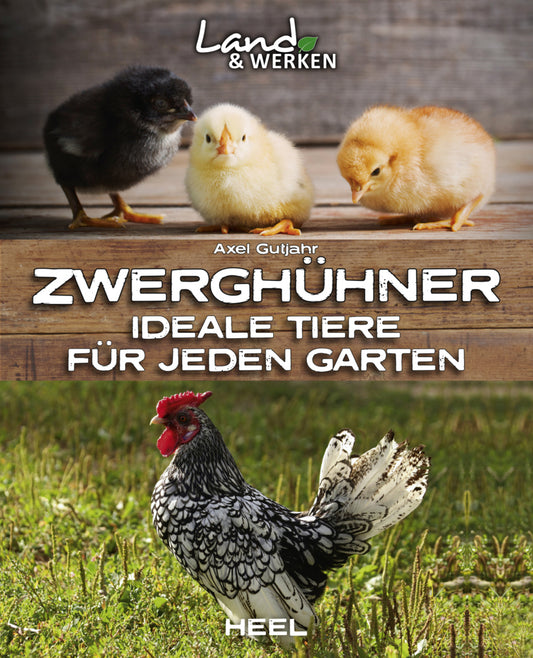 Zwerghühner: Ideale Tiere für jeden Garten (Axel Gutjahr)