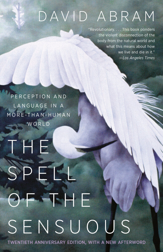 The Spell of the Sensuous (David Abram)
