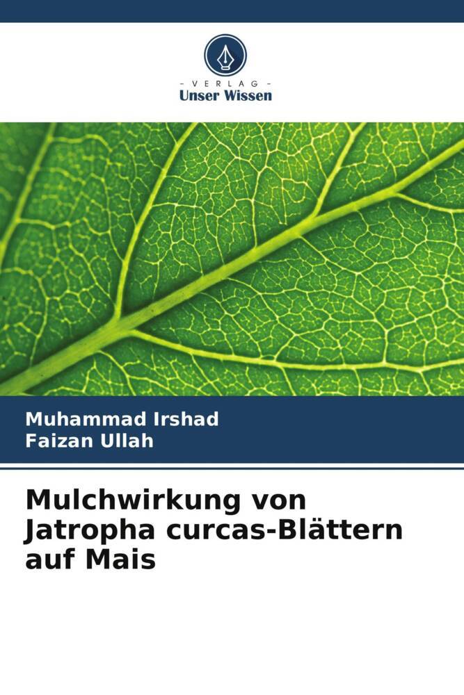 Mulchwirkung von Jatropha curcas-Blättern auf Mais (Muhammad Irshad)