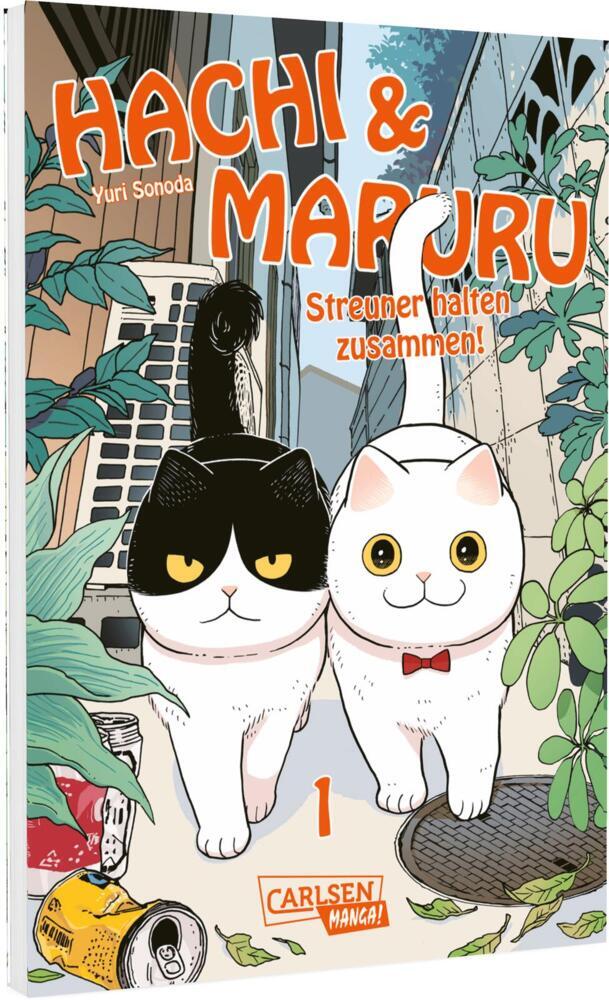 Hachi & Maruru - Streuner halten zusammen! 1 (Yuri Sonoda)