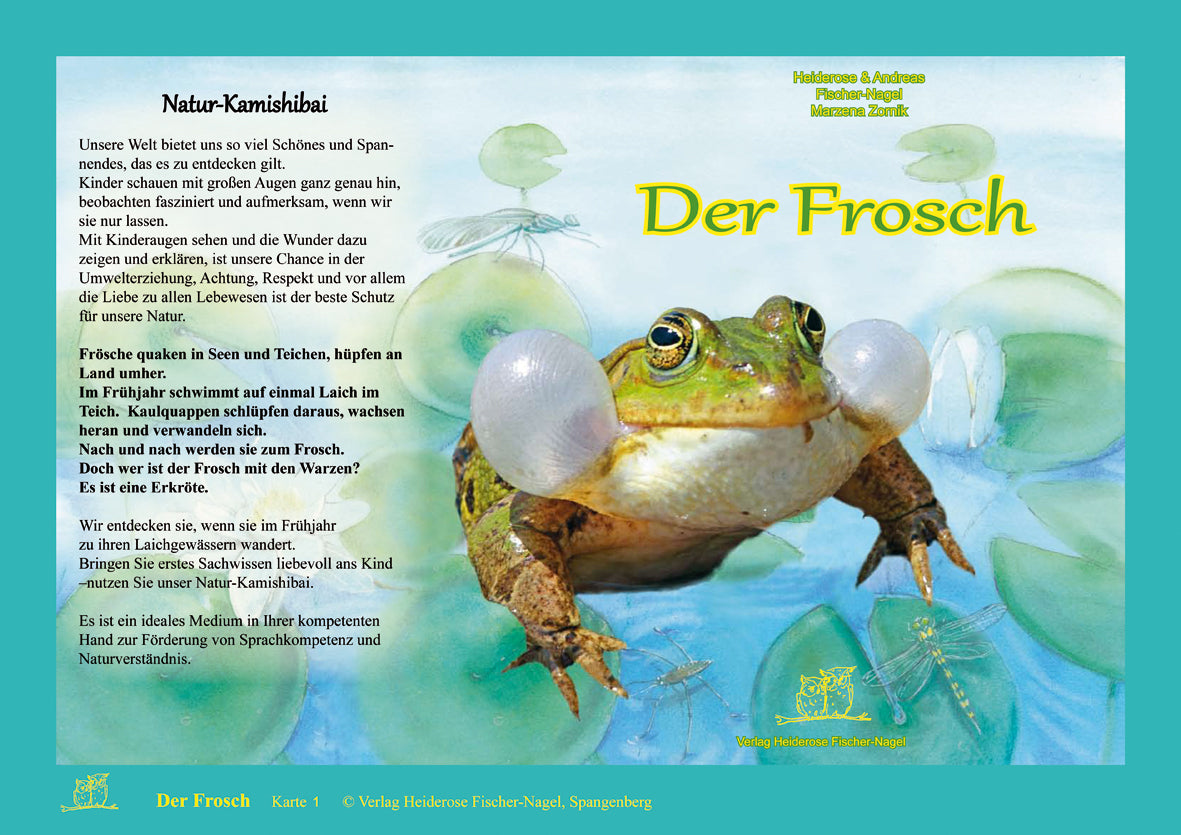 Der Frosch, Natur-Kamishibai (Heiderose Fischer-Nagel)