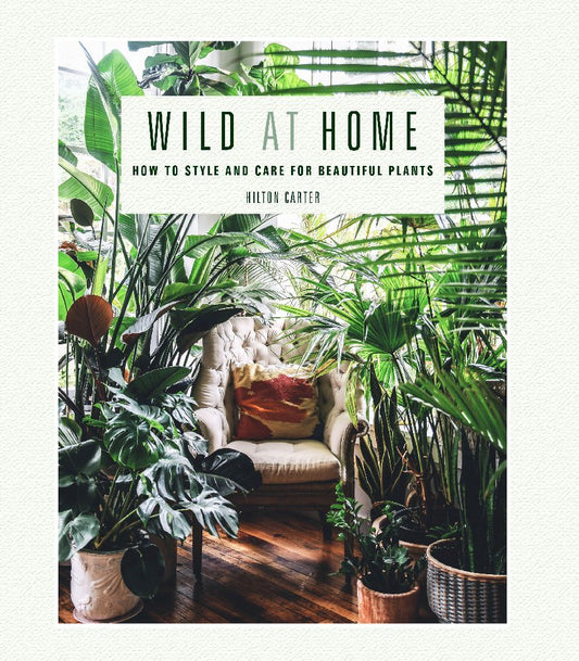 Wild at Home (Hilton Carter)