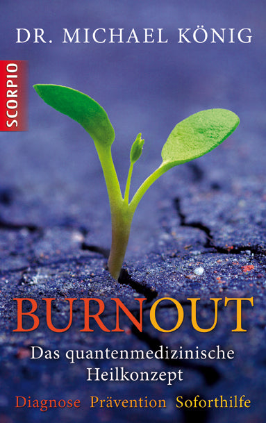 Burnout (Michael König)