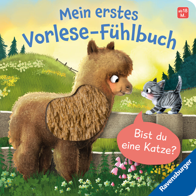 Mein erstes Vorlese-Fühlbuch - Bist du eine Katze? (Kathrin Lena Orso)