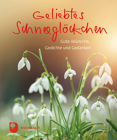Geliebtes Schneeglöckchen