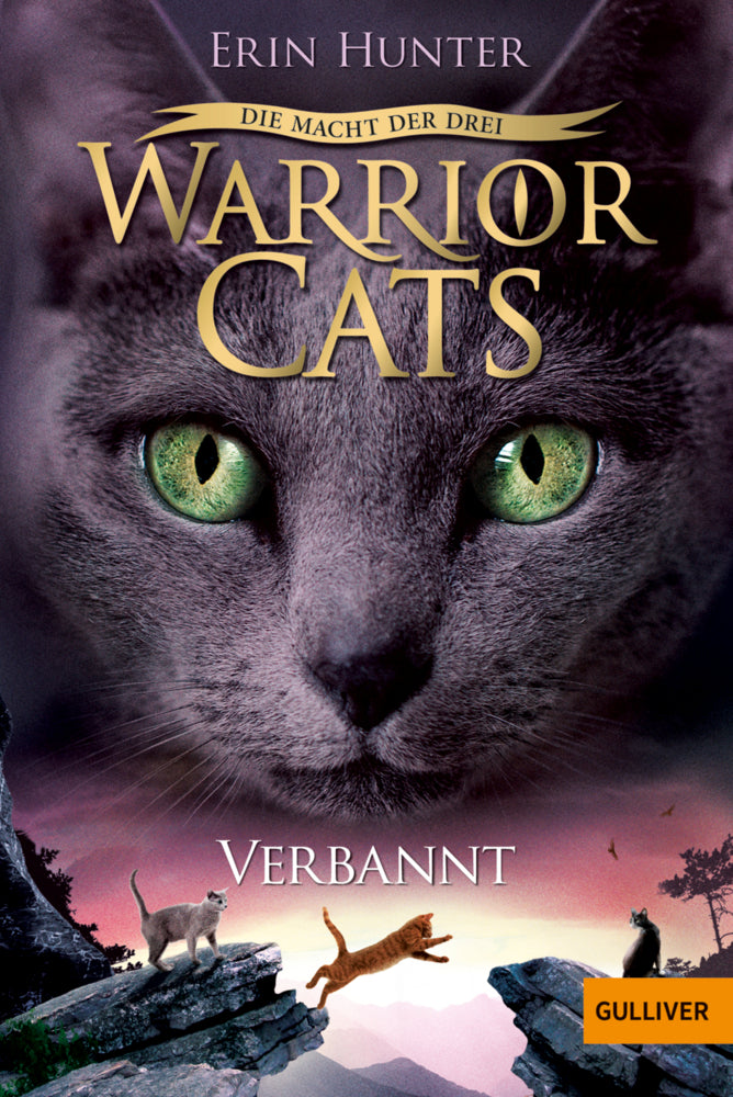Warrior Cats - Die Macht der Drei. Verbannt (Erin Hunter)
