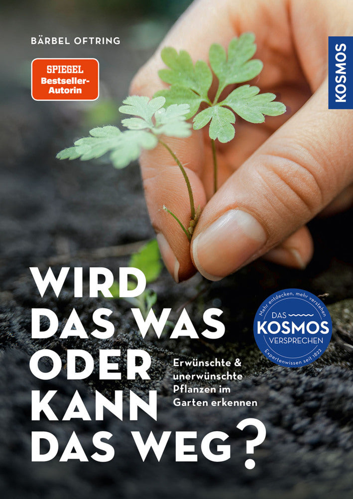 Wird das was oder kann das weg? (Bärbel Oftring)
