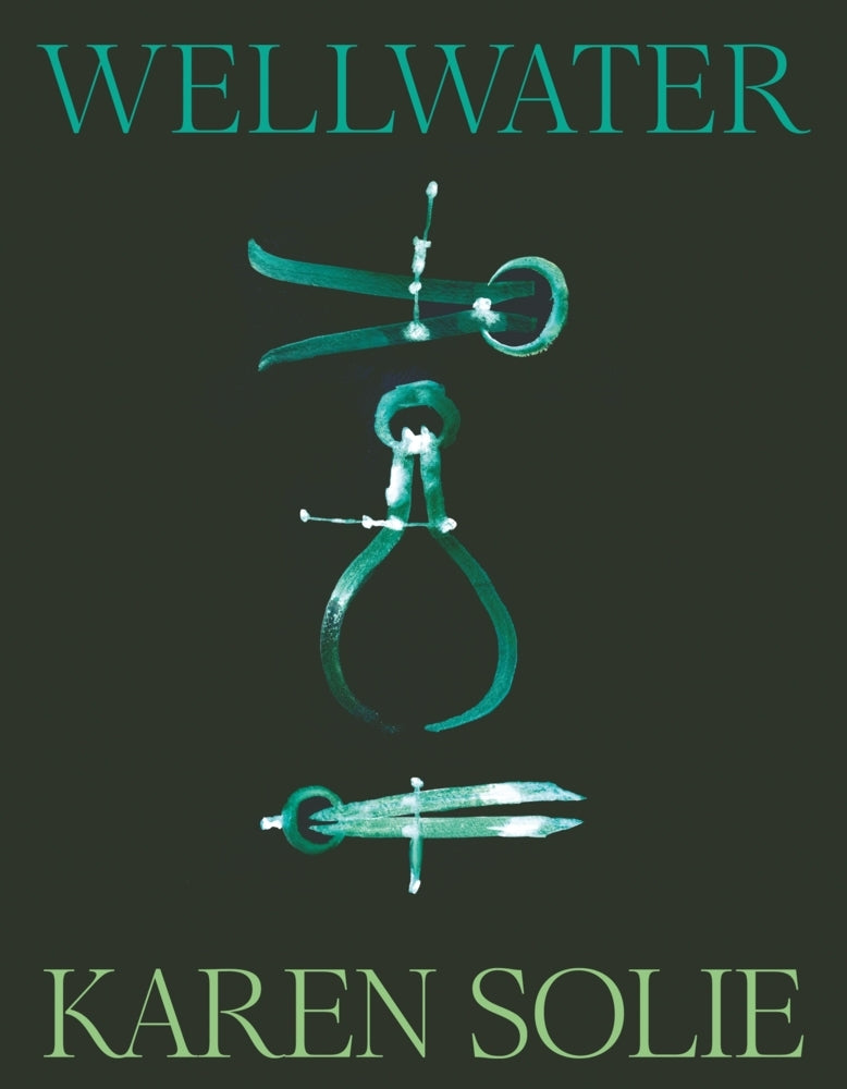 Wellwater (Karen Solie)