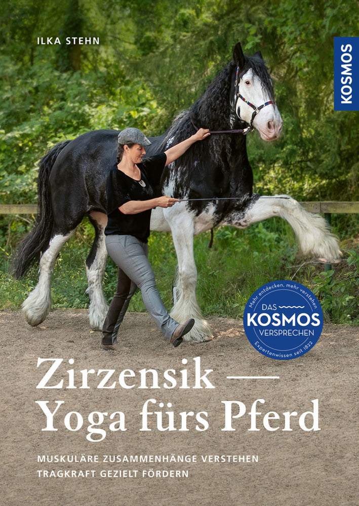 Zirzensik - Yoga fürs Pferd (Ilka Stehn)