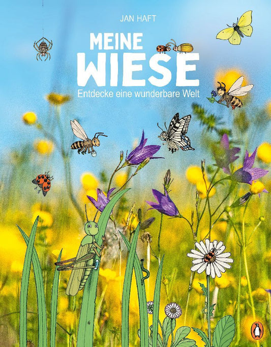 Meine Wiese.  - Entdecke eine wunderbare Welt (Jan Haft)