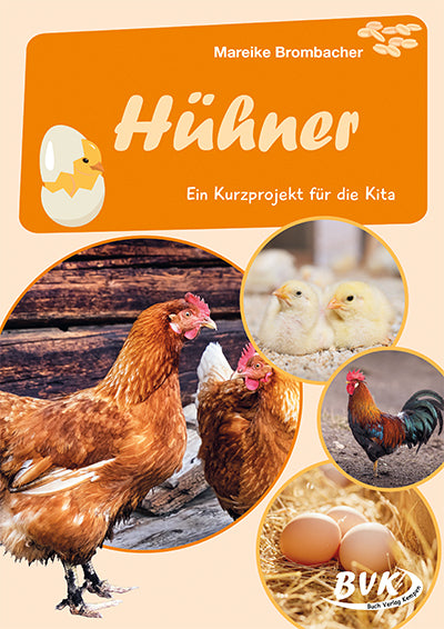 Hühner (Mareike Brombacher)