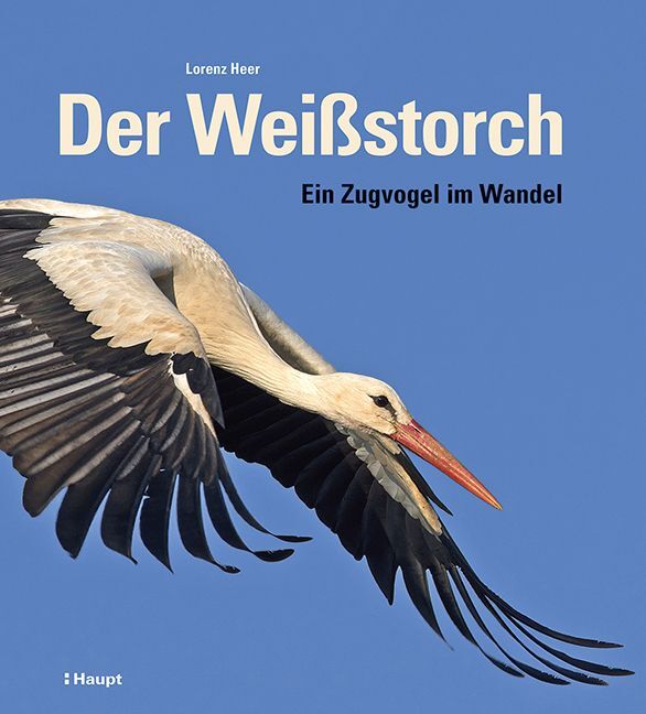 Der Weißstorch (Lorenz Heer)