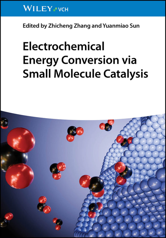 Electrochemical Energy Conversion via Small Molecule Catalysis (Zhicheng Zhang)