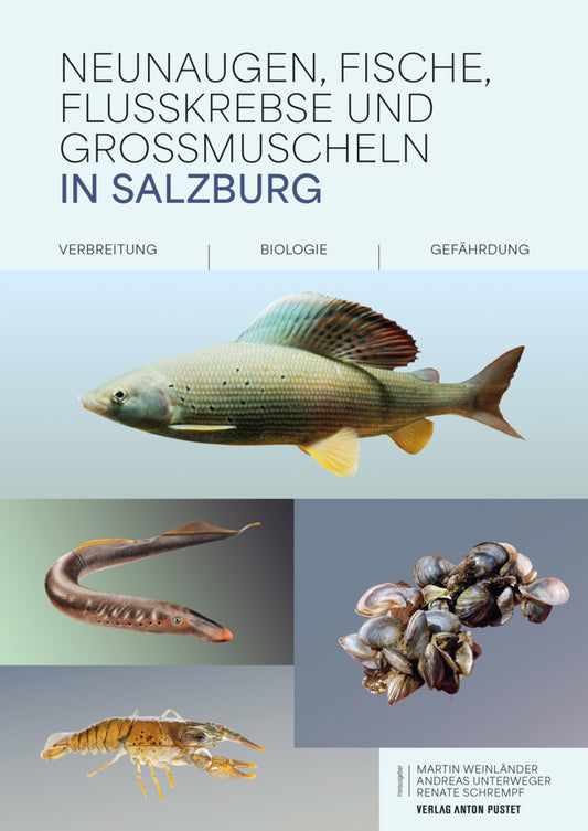 Neunaugen, Fische, Flusskrebse und Großmuscheln in Salzburg (Martin Weinländer)