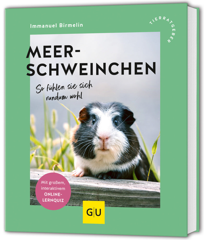 Meerschweinchen (Immanuel Birmelin)