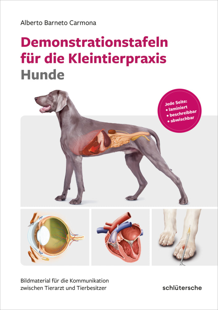 Demonstrationstafeln für die Kleintierpraxis Hunde (Alberto Barneto Carmona)