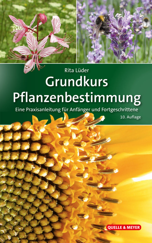 Grundkurs Pflanzenbestimmung (Rita Lüder)